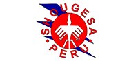 Shougesa